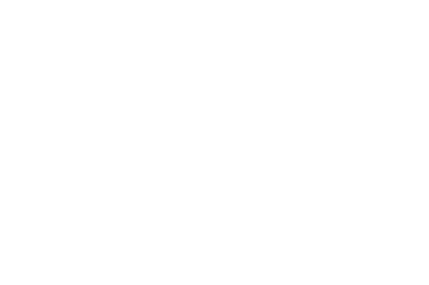 the-monkey-bread-tree-film-awards-2016